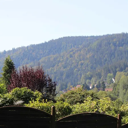 Werner Daire Warmensteinach